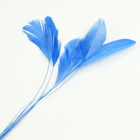 細管雞尾毛-藍